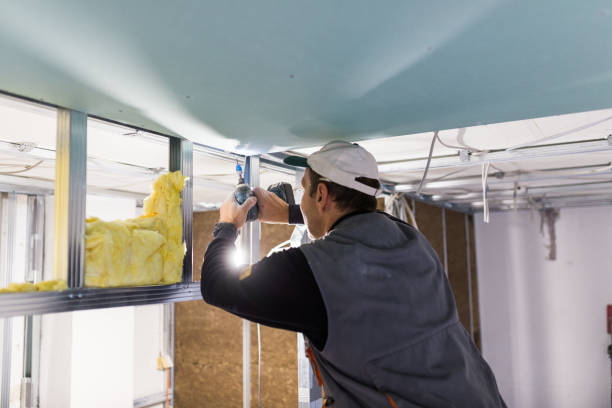 Best Professional Insulation Contractor  in Coraopolis, PA
