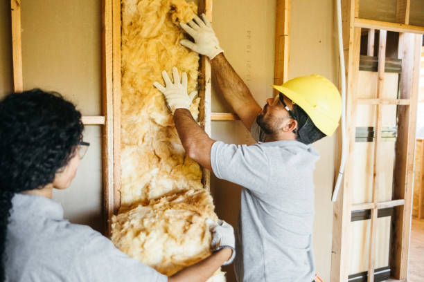 Best Fiberglass Insulation  in Coraopolis, PA
