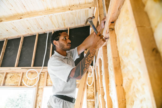 Best Professional Insulation Contractor  in Coraopolis, PA